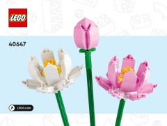 LEGO 40647 instructions page 1 – build guide
