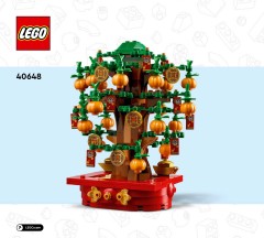LEGO 40648 instructions page 1 – build guide