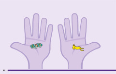 LEGO 41441 instructions page 62 – build guide