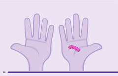 LEGO 41441 instructions page 28 – build guide