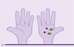 LEGO 41441 instructions page 38 – build guide