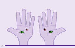 LEGO 41695 instructions page 30 – build guide