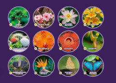 LEGO 41757 instructions page 5 – build guide