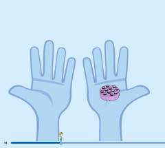 LEGO 43194 instructions page 14 – build guide