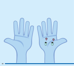 LEGO 43194 instructions page 42 – build guide