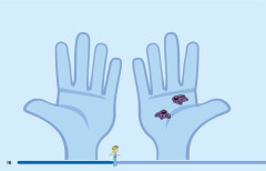 LEGO 43194 instructions page 16 – build guide