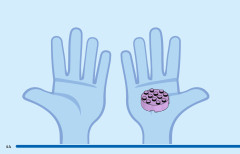 LEGO 43204 instructions page 44 – build guide