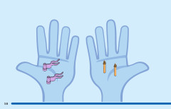 LEGO 43204 instructions page 58 – build guide