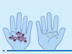 LEGO 43209 instructions page 50 – build guide