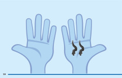 LEGO 43211 instructions page 28 – build guide