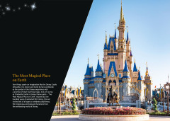 LEGO 43222 instructions page 3 – build guide