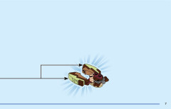 LEGO 43226 instructions page 7 – build guide