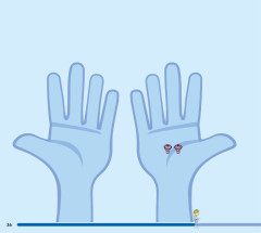 LEGO 43238 instructions page 36 – build guide