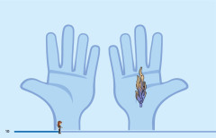 LEGO 43238 instructions page 10 – build guide