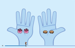 LEGO 43238 instructions page 12 – build guide