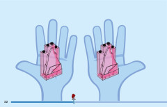 LEGO 43254 instructions page 22 – build guide