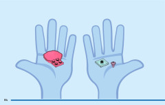 LEGO 43254 instructions page 84 – build guide