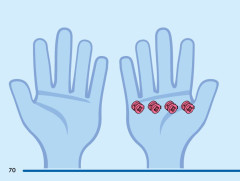 LEGO 43254 instructions page 70 – build guide