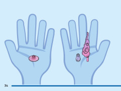 LEGO 43254 instructions page 34 – build guide