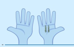 LEGO 43281 instructions page 66 – build guide