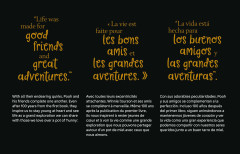 LEGO 43300 instructions page 10 – build guide