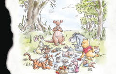 LEGO 43300 instructions page 11 – build guide