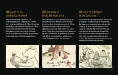 LEGO 43300 instructions page 9 – build guide