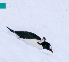 LEGO 45201 instructions page 9 – build guide