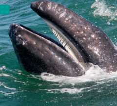 LEGO 45201 instructions page 3 – build guide