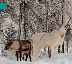 LEGO 45203 instructions page 3 – build guide