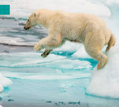 LEGO 45203 instructions page 3 – build guide