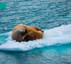 LEGO 45203 instructions page 3 – build guide