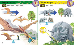 LEGO 5921 instructions page 10 – build guide