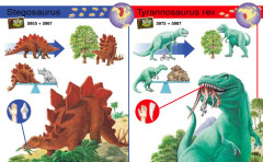 LEGO 5921 instructions page 11 – build guide