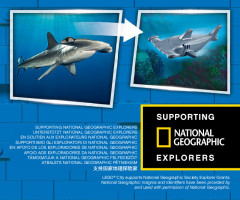 LEGO 60263 instructions page 33 – build guide