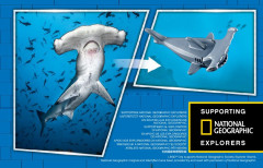 LEGO 60265 instructions page 31 – build guide