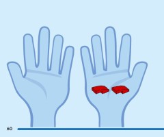 LEGO 60448 instructions page 60 – build guide