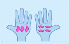 LEGO 60452 instructions page 60 – build guide