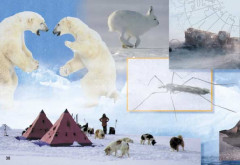 LEGO 6520 instructions page 38 – build guide