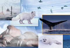 LEGO 6520 instructions page 39 – build guide