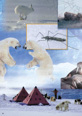 LEGO 6575 instructions page 44 – build guide