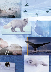 LEGO 6575 instructions page 45 – build guide