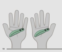 LEGO 75443 instructions page 56 – build guide