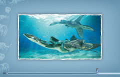 LEGO 75575 instructions page 28 – build guide