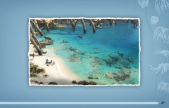 LEGO 75575 instructions page 29 – build guide