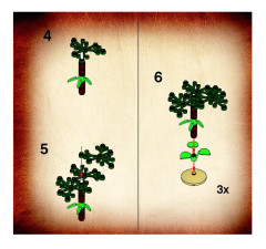 LEGO 7626 instructions page 5 – build guide