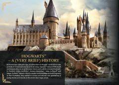 LEGO 76419 instructions page 4 – build guide