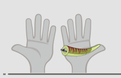 LEGO 76944 instructions page 32 – build guide