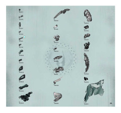 LEGO 8764 instructions page 53 – build guide